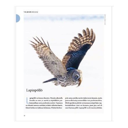 Luonnonystävän vuosikirja 2026 + Muumi-pussukka